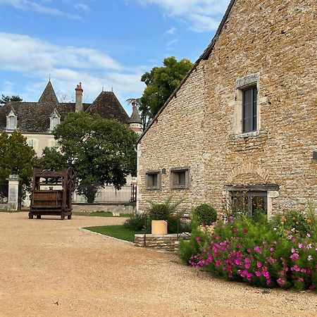 Chateau Du Mauny, Gites Et Chambres D'Hotes En Bourgogne Rosey Екстер'єр фото