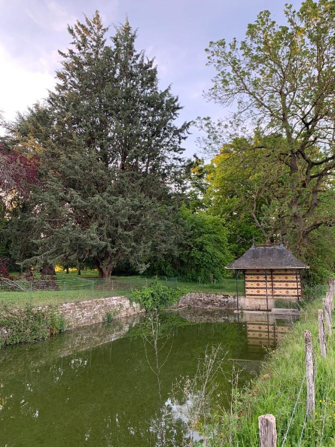 Chateau Du Mauny, Gites Et Chambres D'Hotes En Bourgogne Rosey Екстер'єр фото