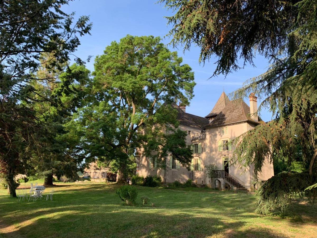 Chateau Du Mauny, Gites Et Chambres D'Hotes En Bourgogne Rosey Екстер'єр фото
