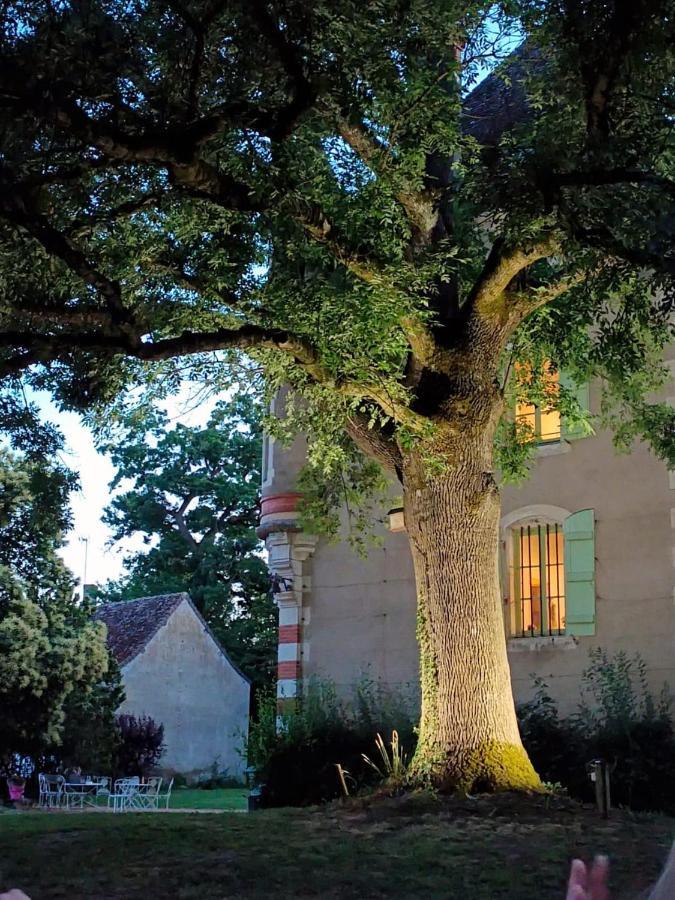 Chateau Du Mauny, Gites Et Chambres D'Hotes En Bourgogne Rosey Екстер'єр фото