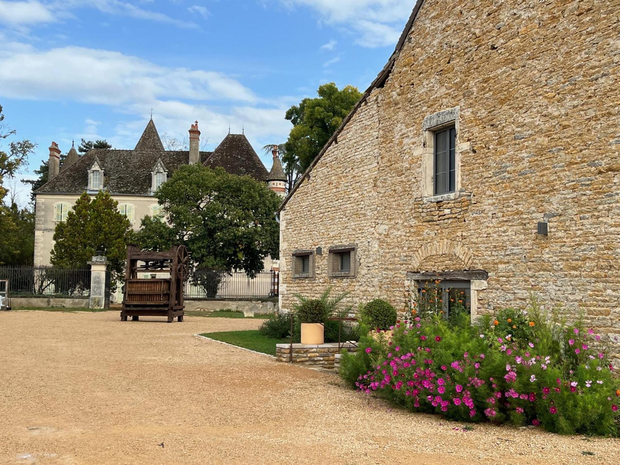 Chateau Du Mauny, Gites Et Chambres D'Hotes En Bourgogne Rosey Екстер'єр фото